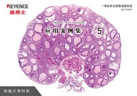 BZ-X 系列 不需要暗室的一體化熒光顯微成像系統(tǒng) 應(yīng)用案例集 Vol.5